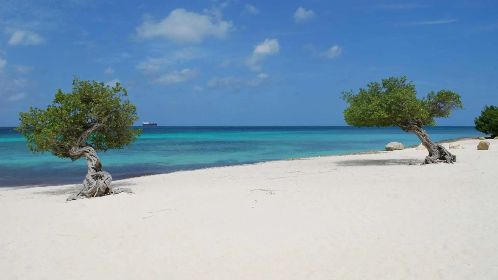Cm01A - Private Villa With Pool - 5Min From Eagle Beach - 3Br House Ponton Dom wakacyjny