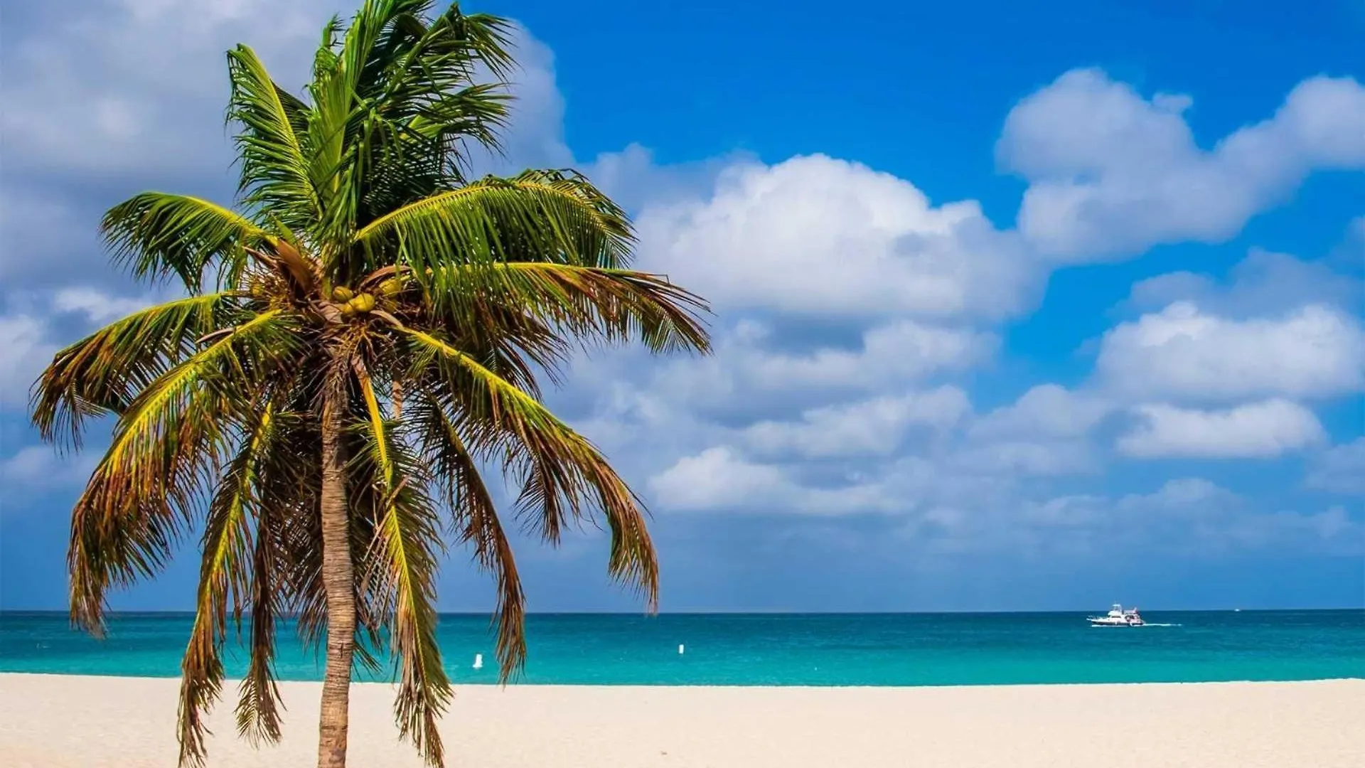 Dom wakacyjny Cm01A - Private Villa With Pool - 5Min From Eagle Beach - 3Br House Ponton Aruba